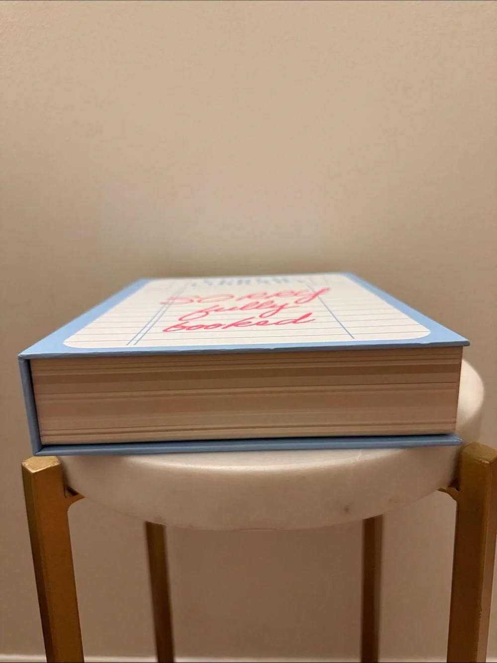 Target Bullseye Playground Book Box